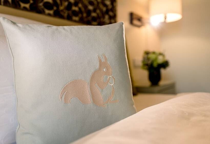 Номер Стандарт, Parkhotel Rothof