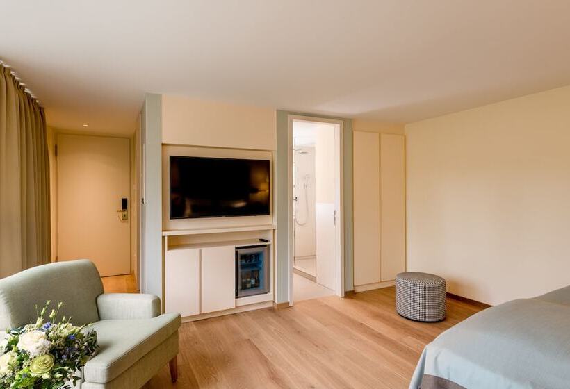 Номер Стандарт, Parkhotel Rothof