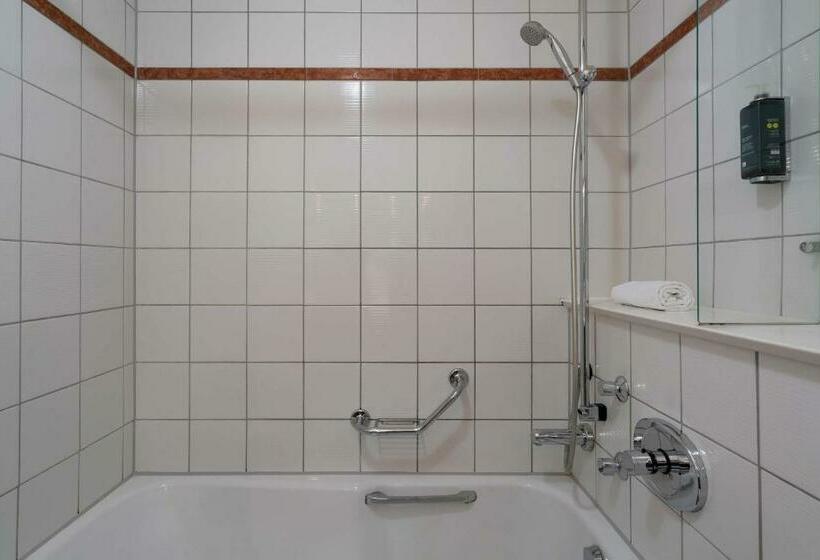 플러스 스탠다드 룸, Seminaris Hotel Bad Boll