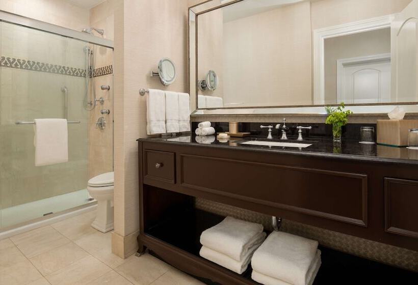 חדר דלוקס, The Roosevelt New Orleans  A Waldorf Astoria