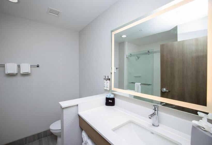 带大床的套房, Holiday Inn Express & Suites Tampa Stadium   Airport Area, An Ihg