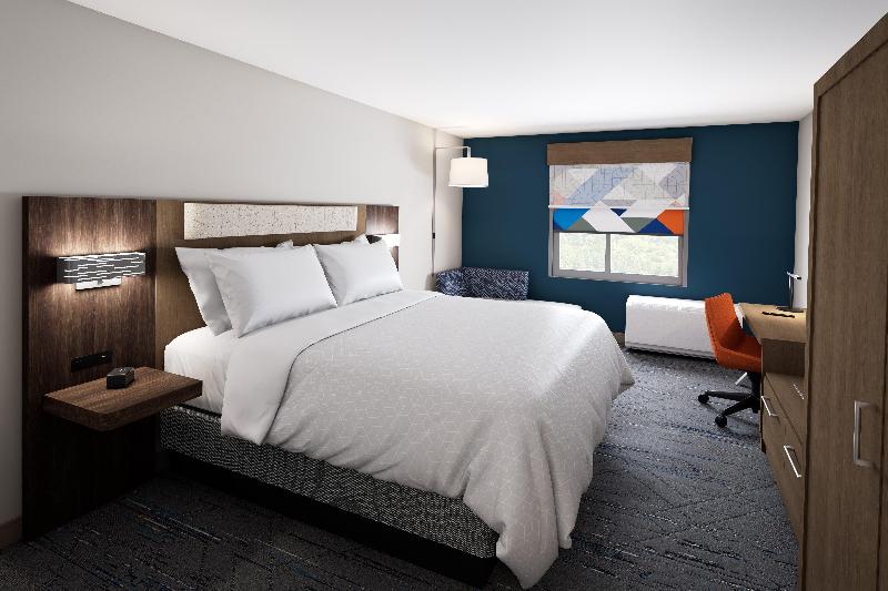 适合残疾人士使用的套间, Holiday Inn Express & Suites Tampa Stadium   Airport Area, An Ihg