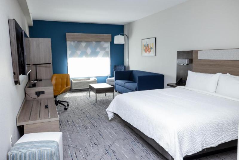 带大床的套房, Holiday Inn Express & Suites Tampa Stadium   Airport Area, An Ihg