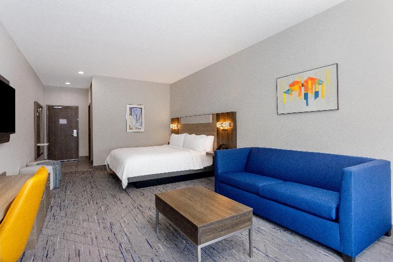 适合残疾人士使用的套间, Holiday Inn Express & Suites Tampa Stadium   Airport Area, An Ihg