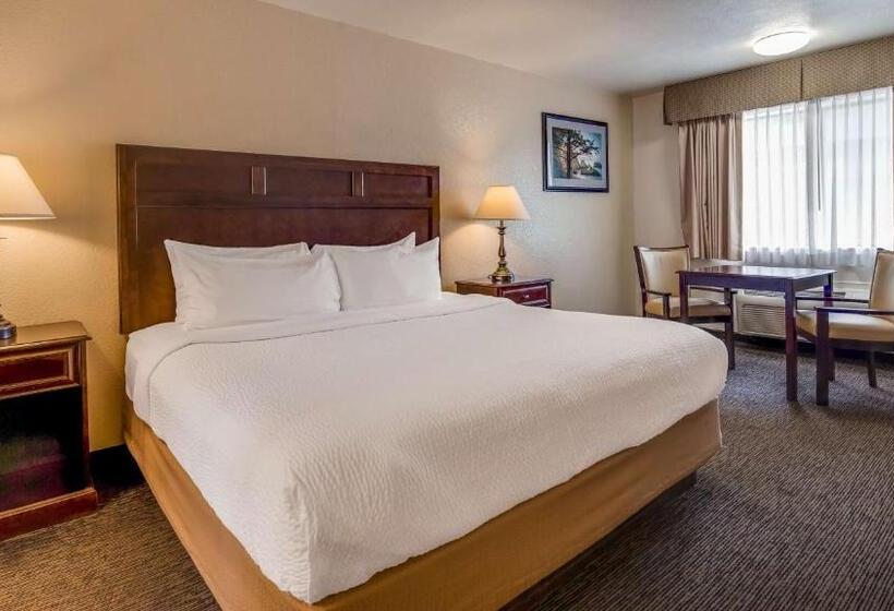 חדר סטנדרט עם מיטת קינג, Best Western Arcata Inn