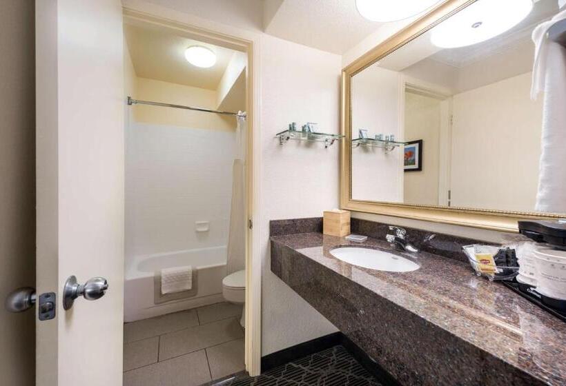 Номер Стандарт, Best Western Danville Sycamore Inn