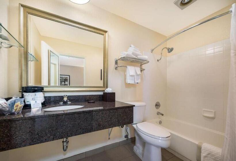 Стандартный Номер Кровать Кинг, Best Western Danville Sycamore Inn