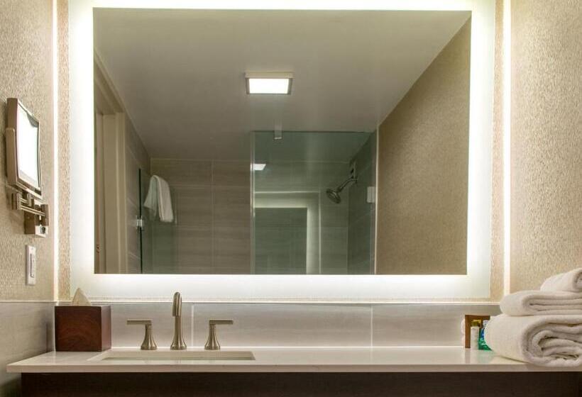 Premium Szoba Erkéllyel, Crowne Plaza Executive Center Baton Rouge, An Ihg