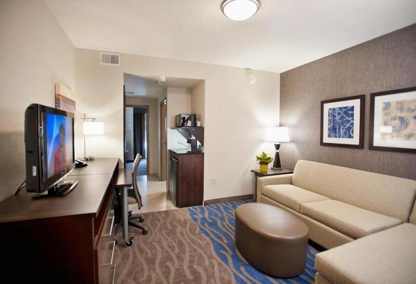 سوئیت با تخت بزرگ, Holiday Inn Express & Suites Dayton South   I 675, An Ihg