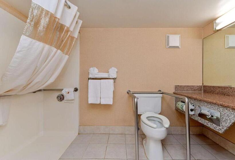 Номер Стандарт Кровать Кинг Адаптированный для Инвалидов, Quality Inn & Suites Walnut  City Of Industry