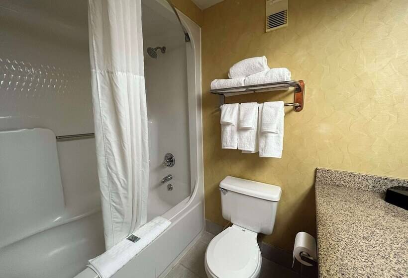 Номер Стандарт 2 Двуспальные Кровати, Best Western Hopkinsville Ky   Brand News
