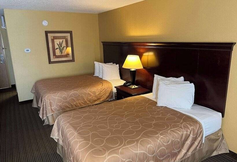 Номер Стандарт 2 Двуспальные Кровати, Best Western Hopkinsville Ky   Brand News