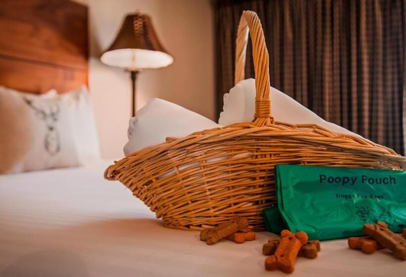 Номер Стандарт, Best Western Ponderosa Lodge