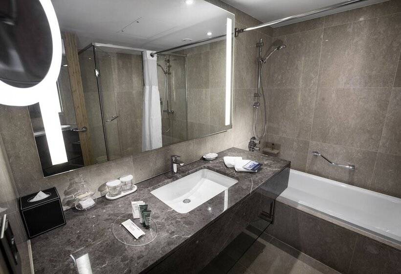 Люкс Премиум, Hilton Gyeongju