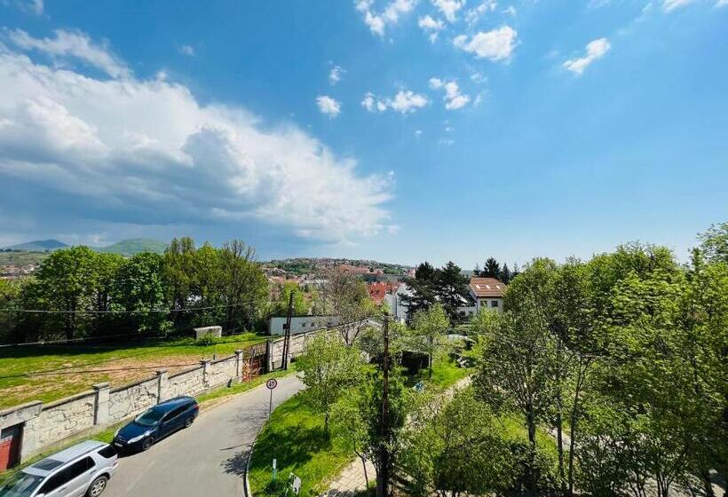 Люкс, Korona Wellness, Rendezvény és Borszálloda