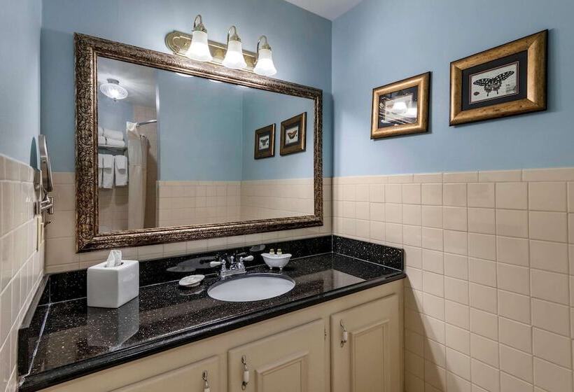 Люкс, Windsor Hotel, Ascend Hotel Collection