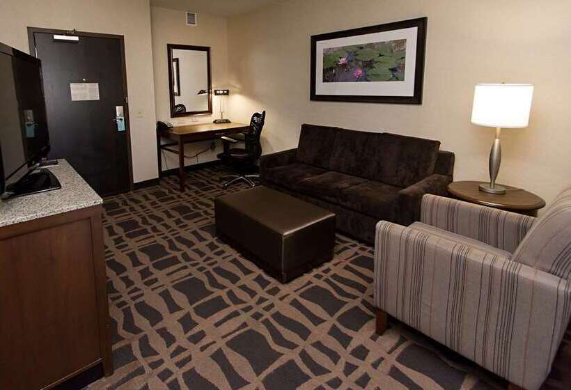 带大床的小型套房, Hilton Cardiff