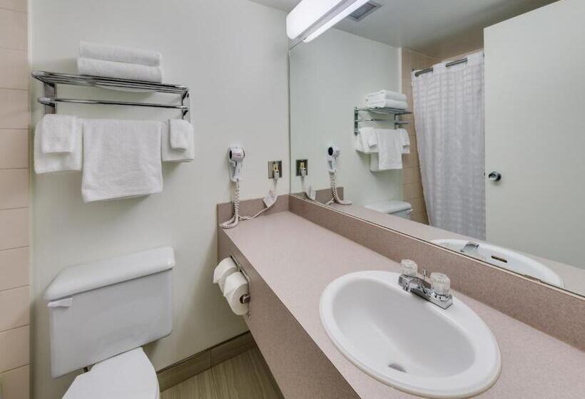 Стандартный Номер Кровать Кинг, Heritage Inn Hotel & Convention Centre   Brooks
