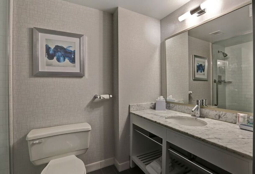 デラックスルーム, Four Points By Sheraton Toronto Mississauga