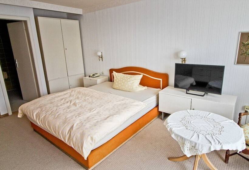 舒适型单人间, Waldhotel Stein