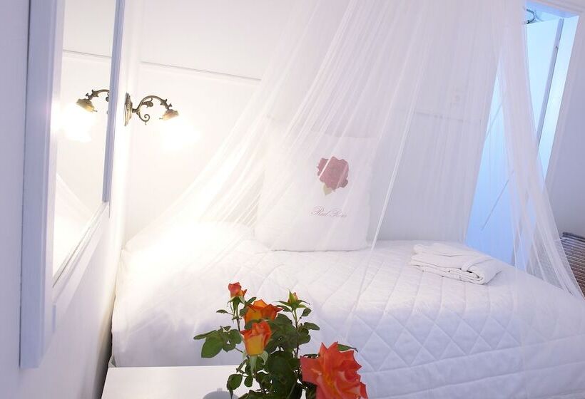 Süit, Paradise Art