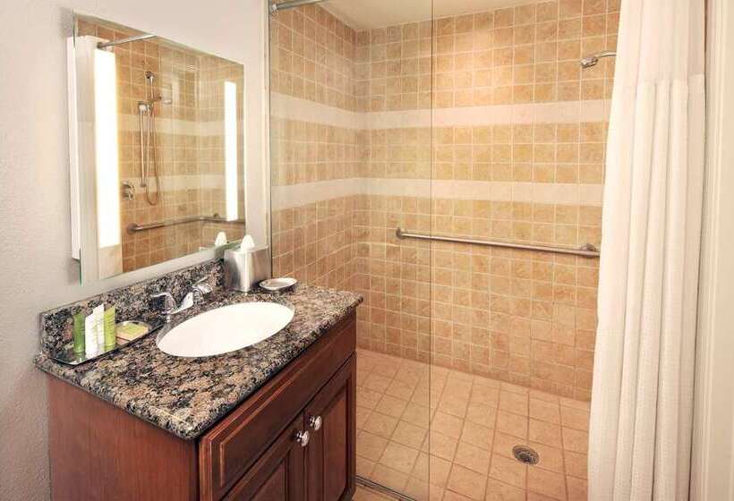 Номер Стандарт Кровать Кинг Адаптированный для Инвалидов, Tru By Hilton Idaho Falls