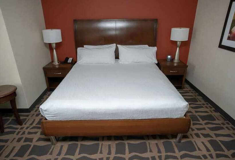 Suite King Bed, Doubletree By Hilton Royal Parc Soestduinen