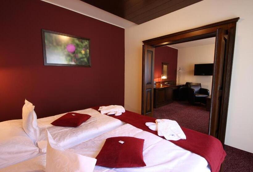 Люкс Премиум, Aplend Wellness Hotel Borovica