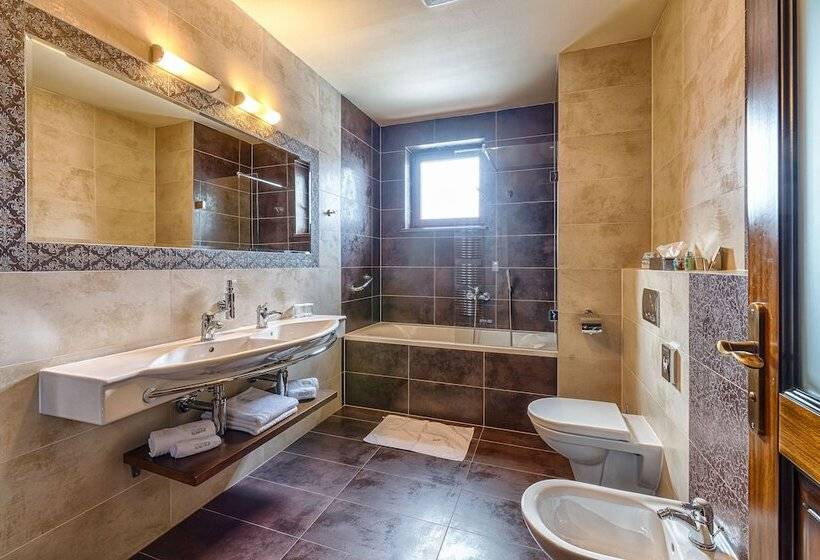 Номер Deluxe, Aplend Wellness Hotel Borovica