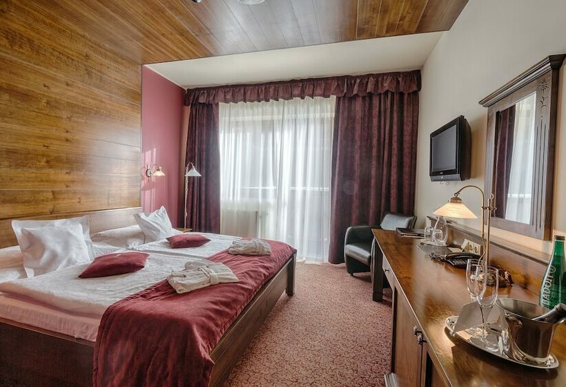 Классический Номер, Aplend Wellness Hotel Borovica