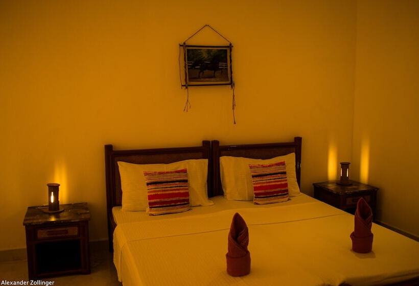 디럭스 룸, Alona Vida Beach Resort