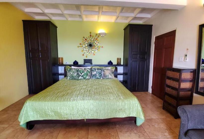 آپارتمان 1 خوابه با چشم‌انداز دریا, Villa Touloulou