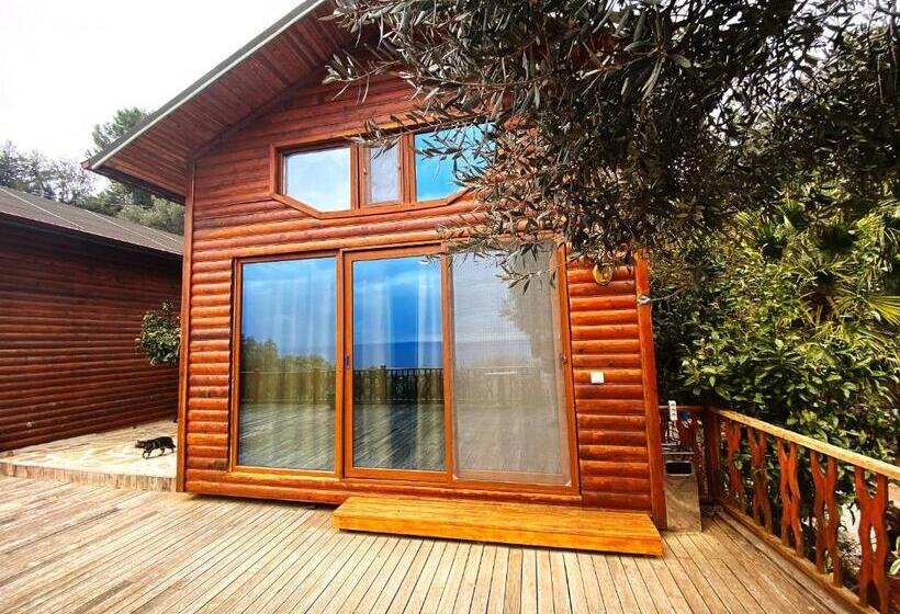 Bungalow Familiar, Kabak Armes