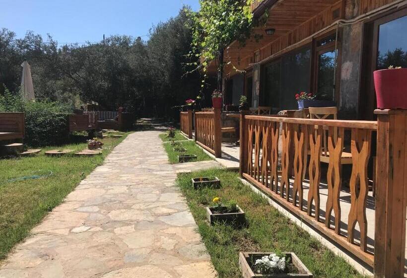 Quarto Estandar, Kabak Armes