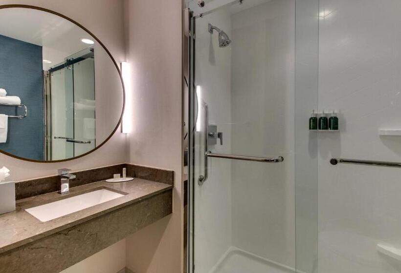 اتاق استاندارد با تخت بزرگ, Fairfield Inn & Suites By Marriott Birmingham Downtown