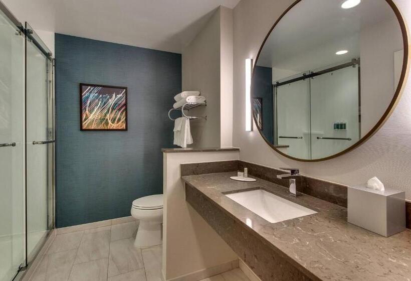 اتاق استاندارد برای معلولان, Fairfield Inn & Suites By Marriott Birmingham Downtown