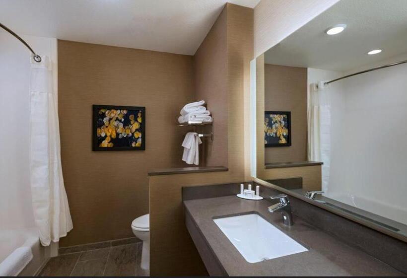 스탠다드 룸, Fairfield Inn & Suites By Marriott Colorado Springs East