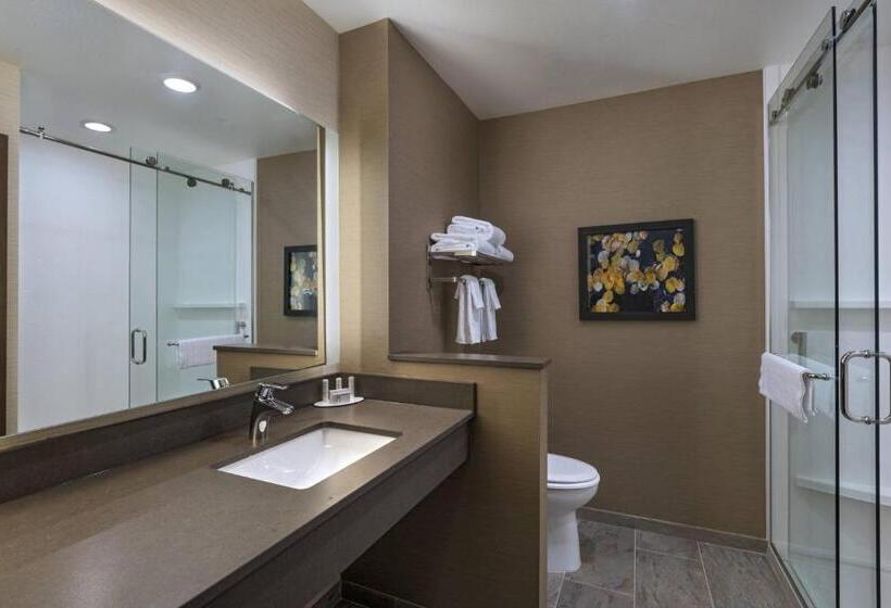 스위트 킹사이즈 침대, Fairfield Inn & Suites By Marriott Colorado Springs East