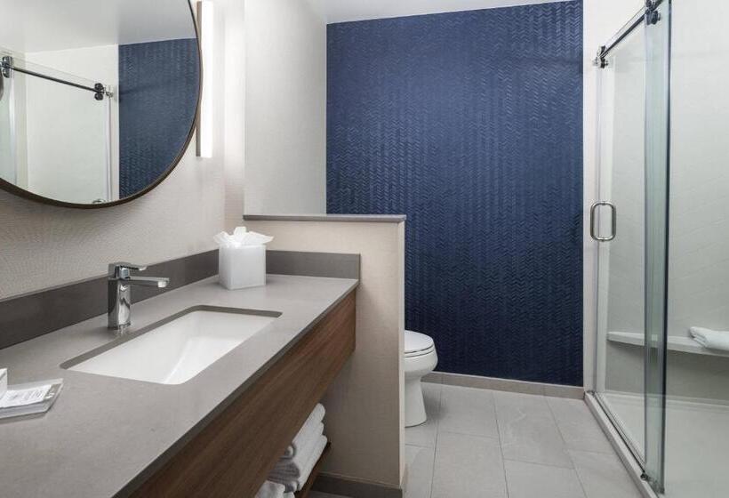 带大床的套房, Fairfield Inn & Suites By Marriott South Kingstown Newport Area