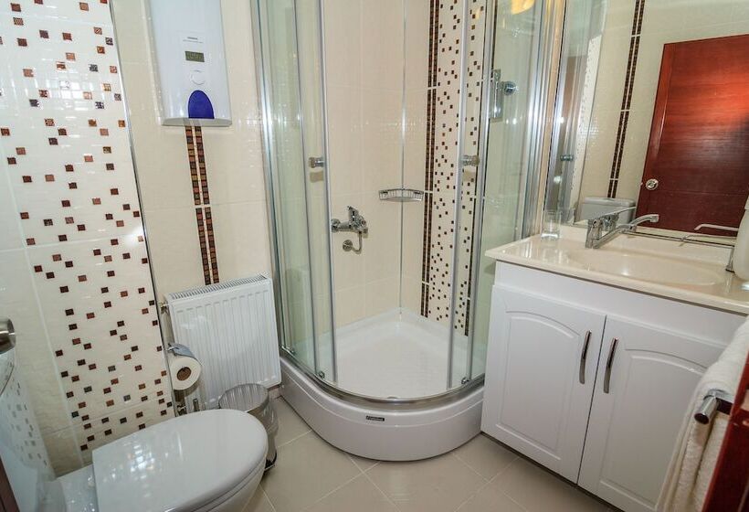 اتاق لوکس, Karya Butik Otel