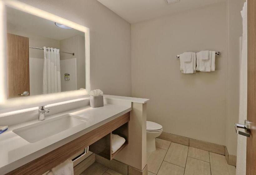 带大床的套房, Holiday Inn Express & Suites - Albuquerque East, An Ihg