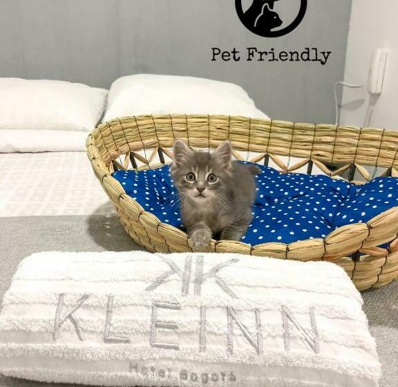 디럭스 룸, Kleinn Hotel Bogotá