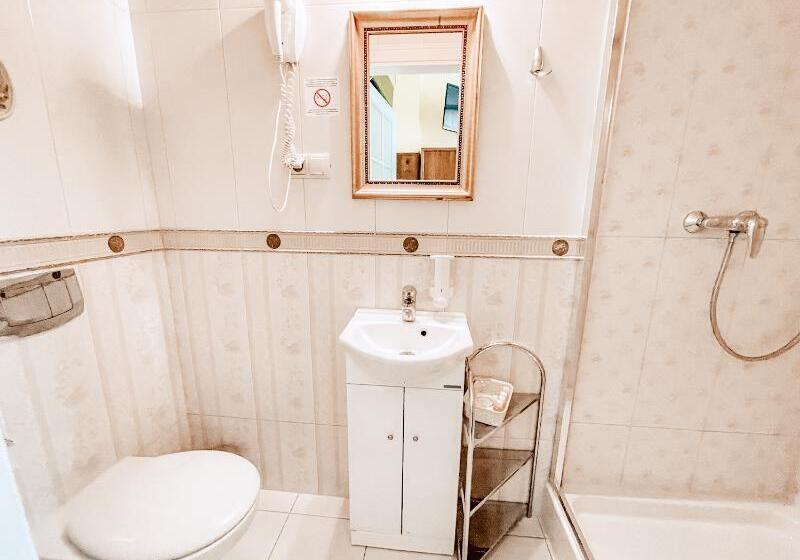 Номер Стандарт Индивидуальный, Aparthotel Grodzka 21