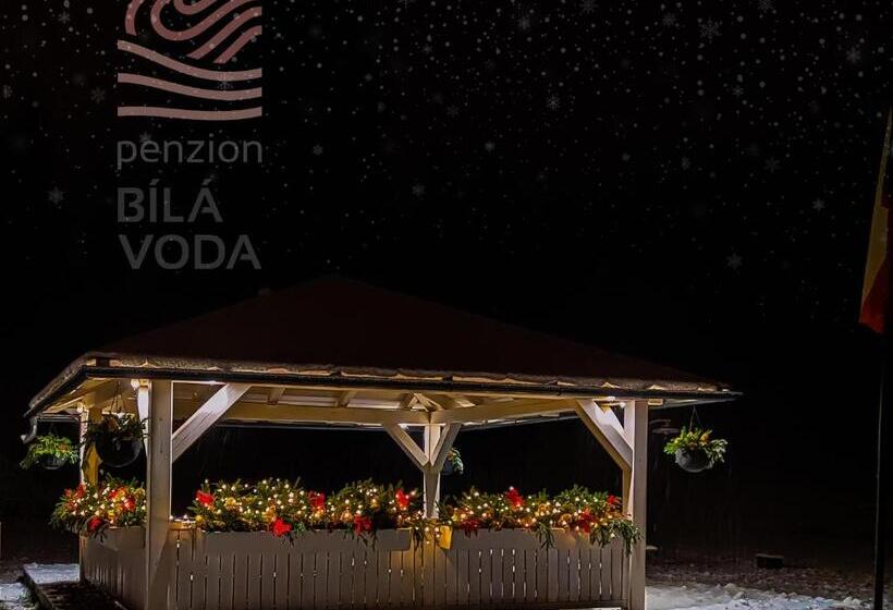 اتاق استاندارد چهار تخته, Penzion Bílá Voda