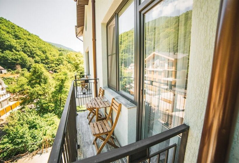Номер Стандарт Вид на Парк, Hills Polyana Hotel & Spa