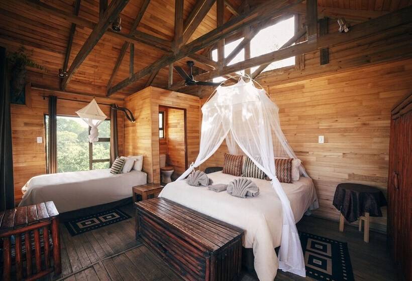 Дом 1 Спальня, Pezulu Tree House Lodge