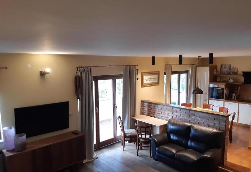 Апартаменты 1 Спальня Вид на Бассейн, Guest House Stancija Kovacici