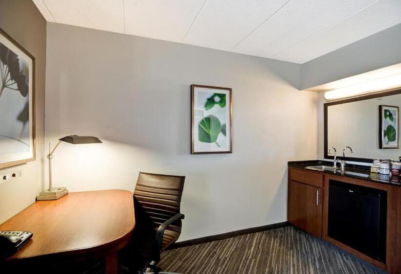 Стандартный Номер Кровать Кинг, Hyatt Place Baltimore/bwi Airport