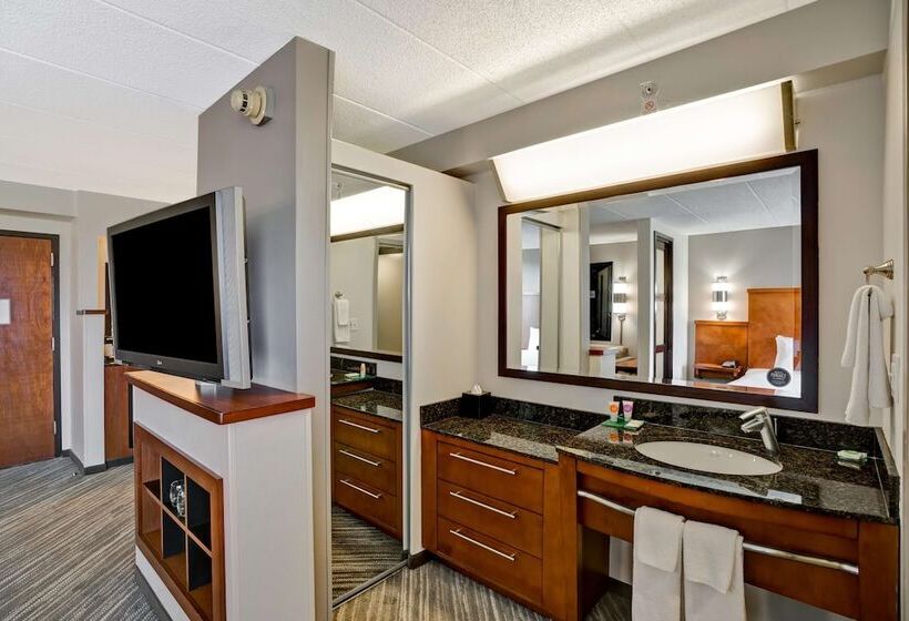 Номер Стандарт, Hyatt Place Baltimore/bwi Airport