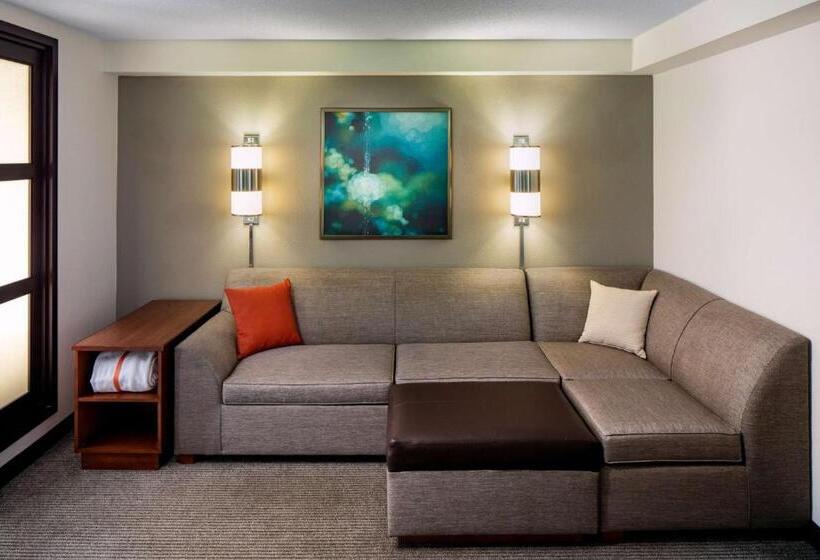 Стандартный Номер Кровать Кинг, Hyatt Place Roanoke Airport / Valley View Mall
